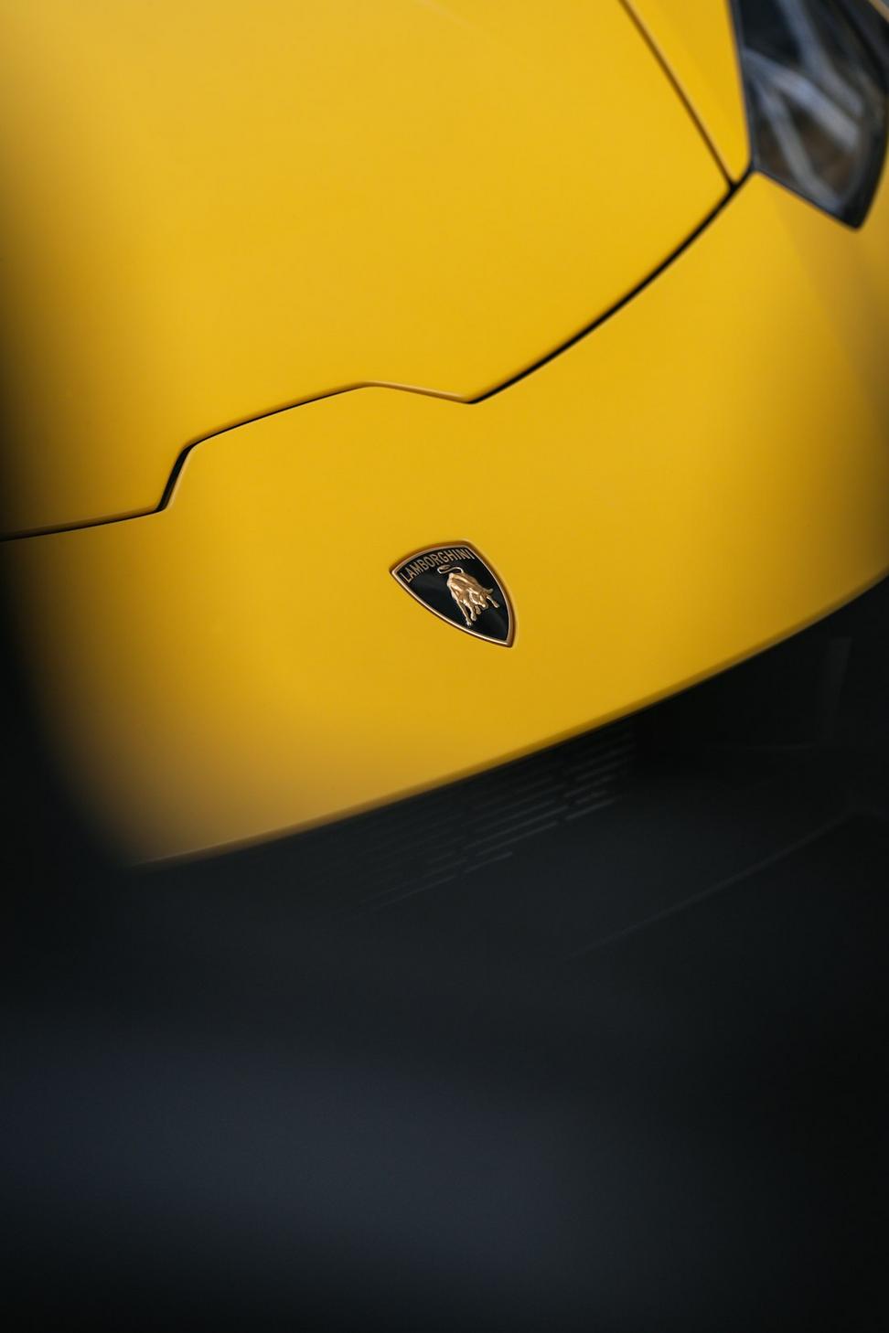 Corvette suspension work